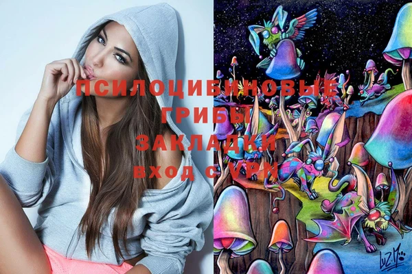 spice Алзамай