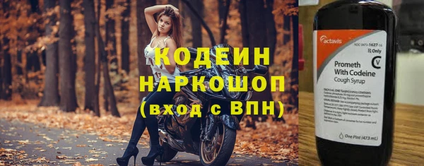 тгк Новозыбков
