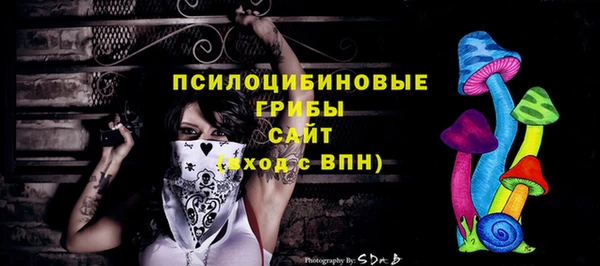 spice Алзамай